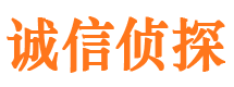 多伦市侦探调查公司